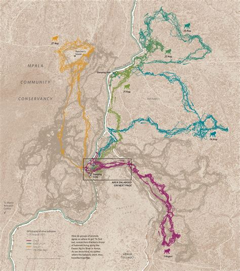 Mapping the Hidden Movements of Baboon Troops - Atlas Obscura