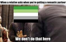 57 Aroace Memes Even Tho Im Neither Ideas Ace Pride Asexual Memes