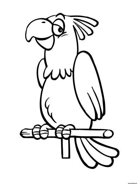 Coloriage Perroquet Oiseau Qui Aime Chanter Dessin Perroquet à imprimer