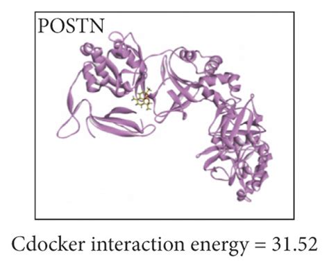 Protein Ligand Docking The Three Dimensional Protein Docking Models