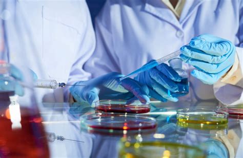 integrated drug discovery laxai life sciences