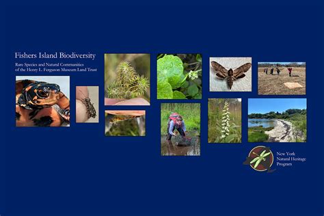 Fishers Island Biodiversity 2023 Report Henry L Ferguson Museum