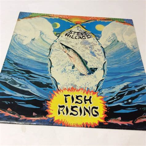 Fish Rising Lp Uk Virgin Steve Hillage Amazon Fr Musique