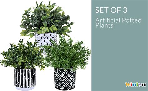 Amazon Winlyn 3 Pack Artificial Potted Plants Faux Eucalyptus