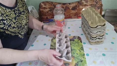 ХИТРЫЙ ПОСЕВ МОРКОВИ В ЯИЧНЫЕ ЛОТКИ / СЕЮ МОРКОВЬ ТОЛЬКО ТАК! /МОРКОВЬ ...