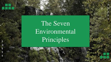 Solution The 7 Environmental Principles Studypool