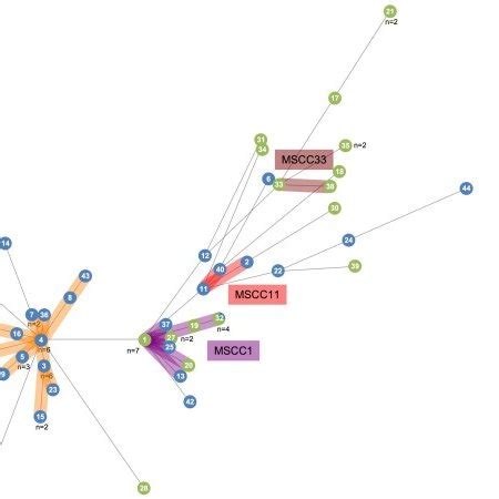 Minimum Spanning Tree Based On MLST Data Colours Indicate The Source