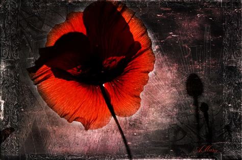 Let S Talk About Sex