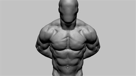 Artstation Male Torso 04 Resources