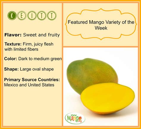 Keitt Mango | Mango varieties, Food forest, Easy meals