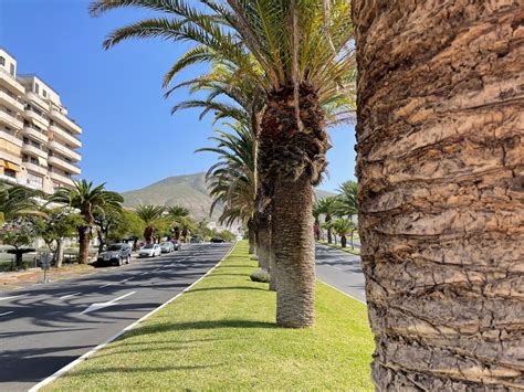 The resorts of South Tenerife - top 3 resorts, beaches, attractions