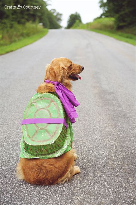 Fun Teenage Mutant Ninja Turtle Dog Costume