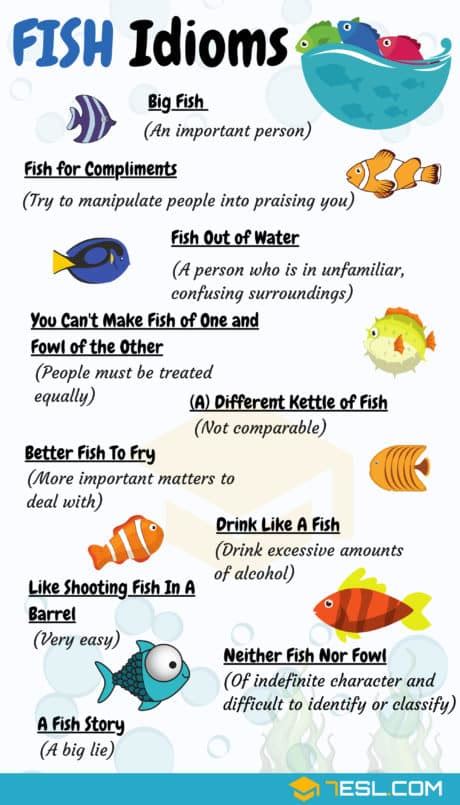 FISH Idioms 18 Useful Fish Idioms And Phrases 7ESL