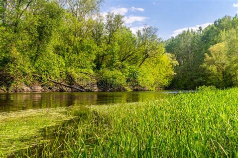 Marshland Nature Of Louisiana Us Natural Parks Stock Photo Image Of