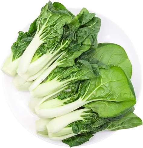 Amazon Cabbage Pak Choi Seeds For Planting White Stem Great