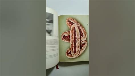 Р.Кенгис " Домашнее приготовление тортов, пирожных, печенья, пряников ...