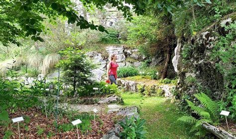 Il Giardino Botanico Di Pian Del Cansiglio Come Raggiungerlo E Cosa Vedere