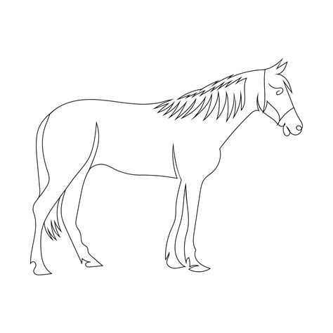 horses in the stable line dance 5