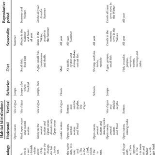 Schematic Representation Of The Ethnobiological Classification