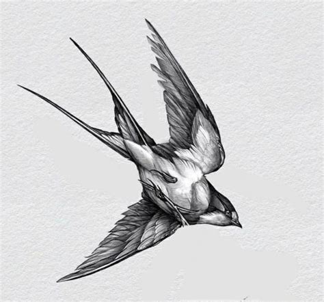 23 Designs Of Swallow Tattoo For Men And Women VeAn Tattoo