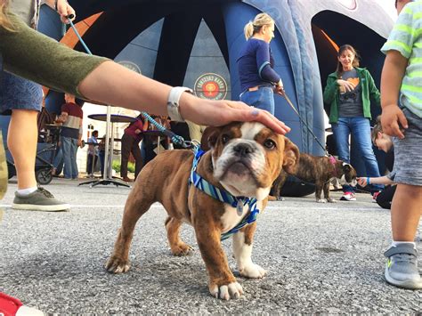 Oktoberfest St. Louis - Sept. 27-29, 2019