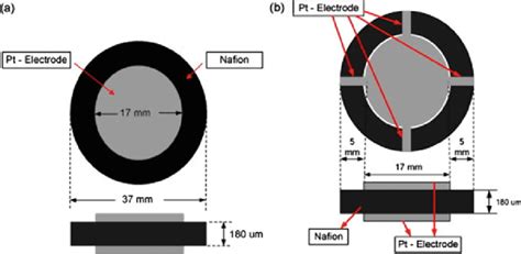 a First diaphragm. b Second diaphragm [37] | Download Scientific Diagram