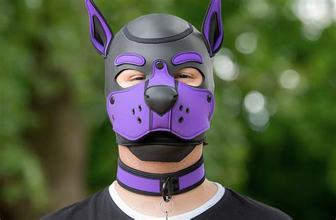 8 Reasons Why Gay Puppy Play Is Great If Youre New To Kink