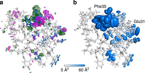 Final Refined Model And Its Electron Density Difference Map Refined