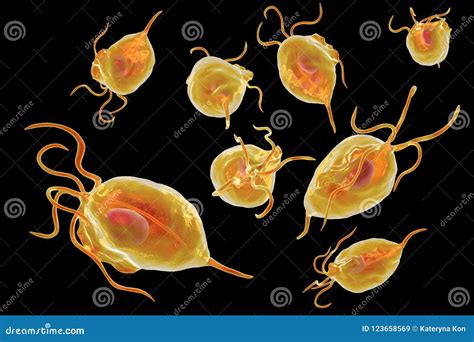 Trichomonas Vaginalis Protozoan 360 Degree Panorama View Stock Illustration