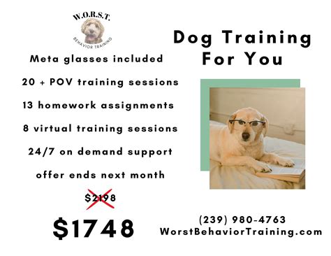 WORST Behavior Puppy Training | Fort Myers FL