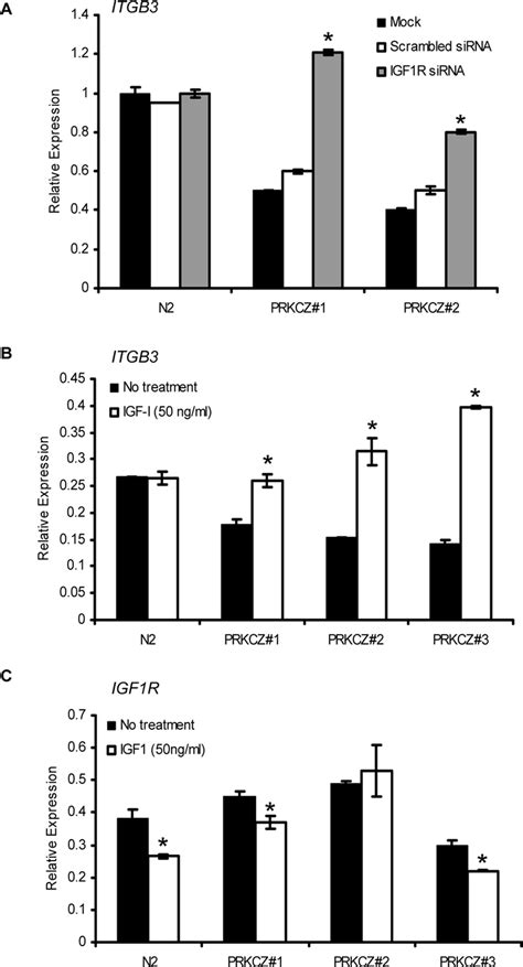 Interplay Of Gene Expression Regulation Between Prkcz Igf R And