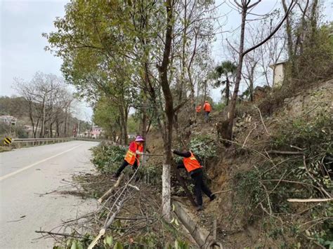 娄星区：爱路护路 志愿先行——水洞底镇全民参与争做公路养护人 交通视野 人民交通网