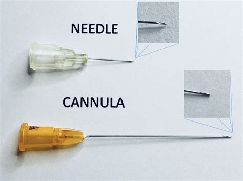 Needles Vs Cannulas Patient Safety Deux Rose