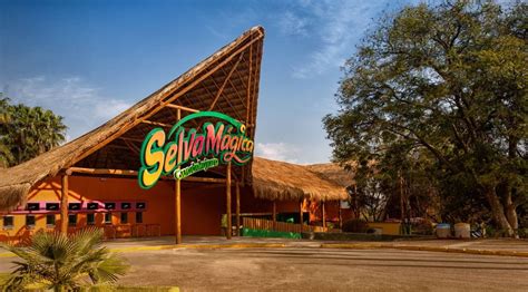 Guadalajara Parque Selva M Gica Con Pase Vip Getyourguide