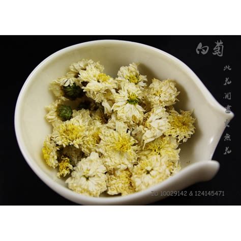 Ju Hua Flower | Best Flower Site 