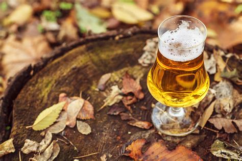 These Westchester Breweries Are Pouring Superb Fall Beers