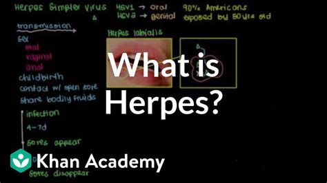 What Is Herpes Infectious Diseases Nclex Rn Khan Academy Youtube