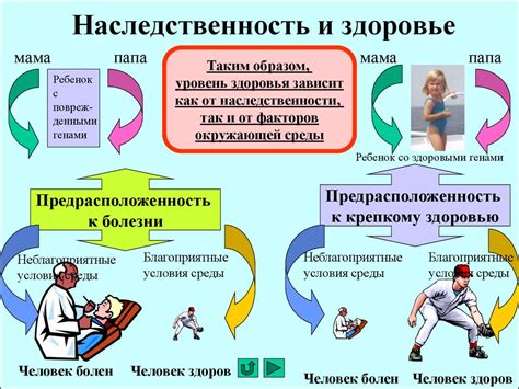 Основы здорового образа жизни студента. Физическая культура в ...