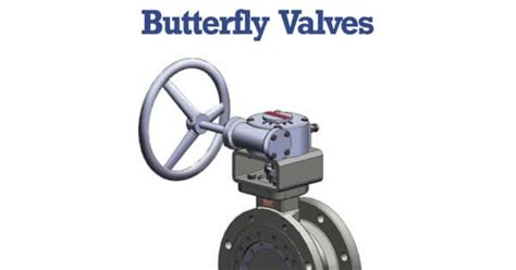 The Pratt Industrial Te Series Triple Offset Butterfly Valve Piping