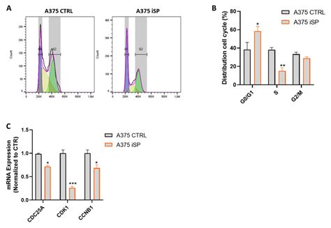 Isp Induced Cell Cycle Arrest In A375 Human Melanoma Cell Line A