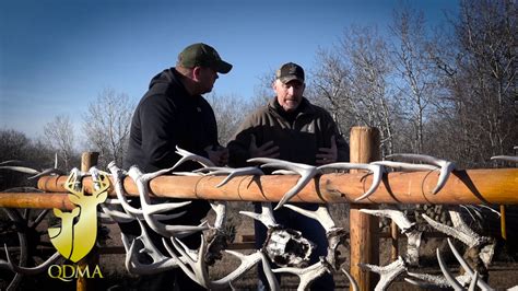 QDMA Properly Aging The Deer YouTube