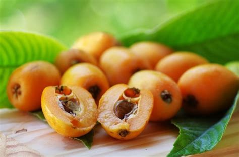 Frutas Com A Letra N - Fruta com N: Lista de frutas que começam com a letra N