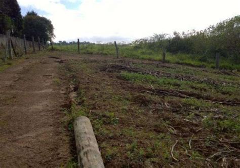 Terrenos Em Condom Nio Na Estrada Fazenda Viaduto Em Suzano Chaves Na M O