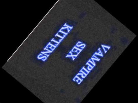 VAMPIRE SEX KITTENS MUSIC WAVE RIDER YouTube