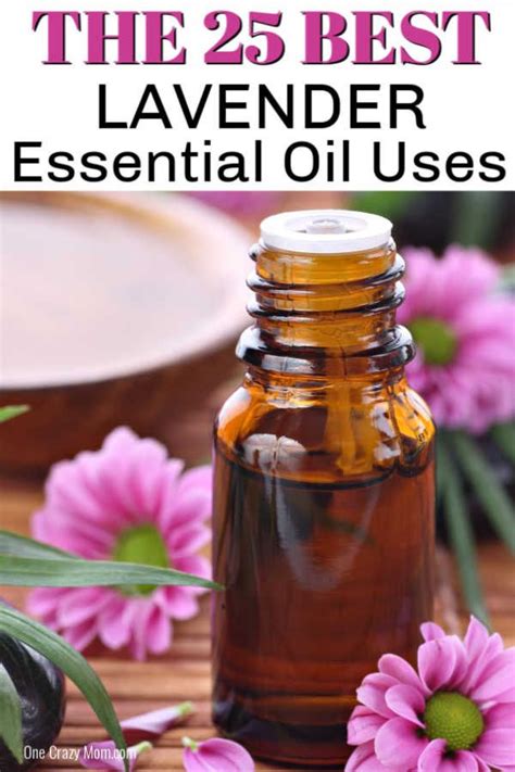 Lavender Essential Oil Uses