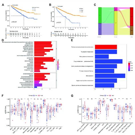 Enrichment Analysis For The Necroptosis Related Score N Score A