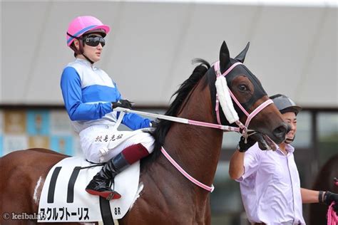 スクルプトーリス Sculptoris 競走馬データベース 競馬ラボ