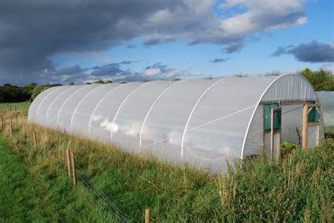 Commercial Polytunnel Dplant Ie