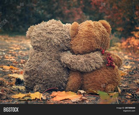 Teddy Bear Hug