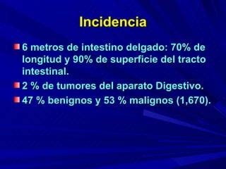 Tumores Y C C3 A1ncer De Intestino Delgado 2 PPT